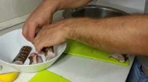 Мурена Рыба ядовитая съедобна ли и как приготовить Черногория Будва