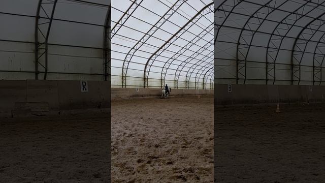 Римма у нас сегодня на тренировке. Занимаемся с Лунтиком