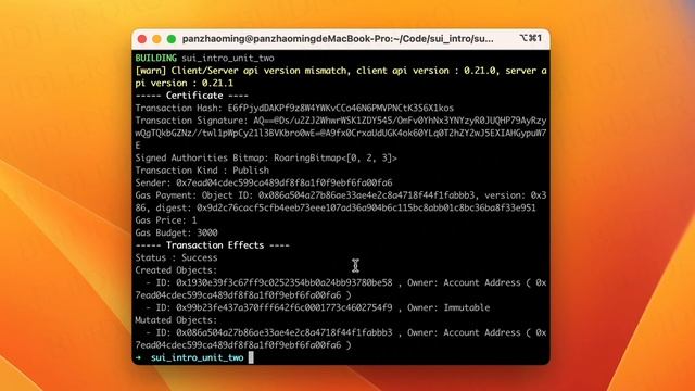 《SUI MOVE中文系列课程》SUI官方认证 Move智能合约语言入门指南 || Lesson 2-6 Events смотреть онлайн