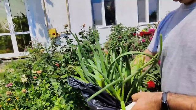 Сын исполнил желание мамы !!! Приехали в Канев смотреть онлайн