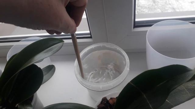 вот такие бывают подарки! смотреть онлайн