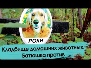 Кладбище домашних животных. Чита