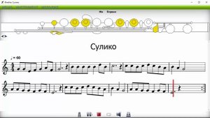 Сулико на поперечной флейте