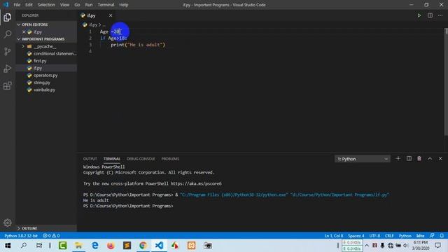 Programming Essentials-Python Bangla Tutorial | if if-else elif