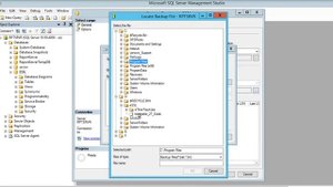 How to Restore Database from a BAK File in SQL Server | restore SQL database