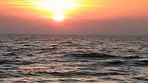 Поймали большого Пилингаса Рыбалка на Азовском море 2020 Щасливцево