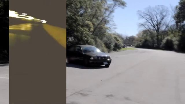 Она издаёт нереальные звуки!