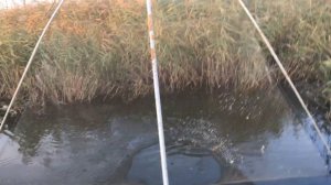 Прозрачная вода в реке? Лови Пауком ночью!