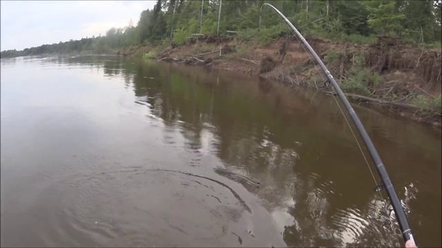 Супер удачная рыбалка,ОГРОМНАЯ густера. А ты видал такую? Ловля фидером с лодки. смотреть онлайн