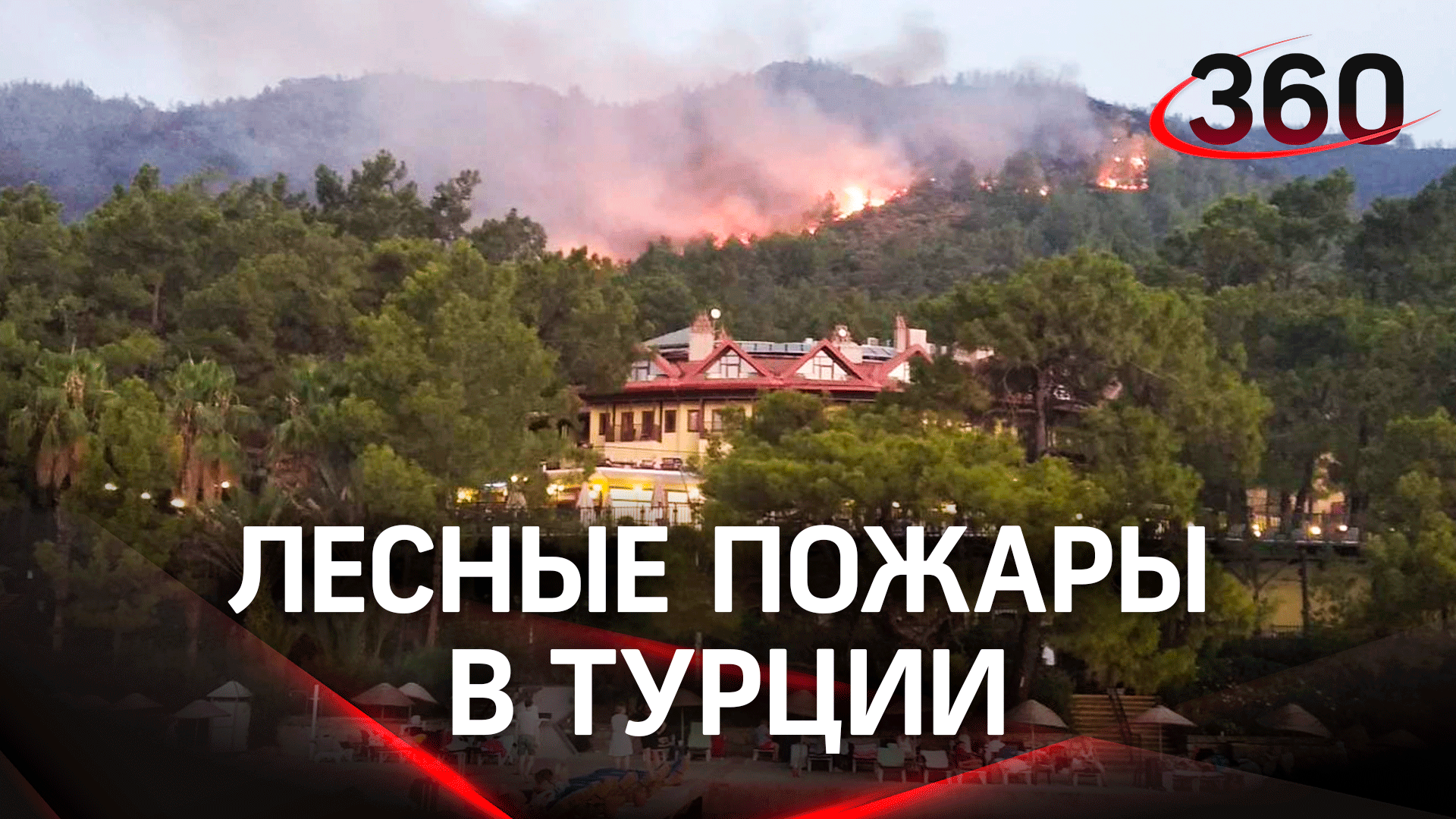 Леса вновь горят: угрожают ли пожары жителям Турции