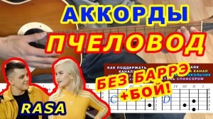 Пчеловод Аккорды ? RASA ♪ Разбор песни на гитаре без баррэ ♫ Гитарный Бой для начинающих