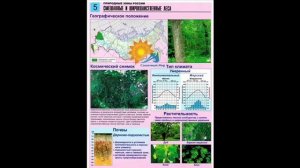 Комплект таблиц по географии "Природные зоны России" (цвет,  А4, 10 шт.) - видео презентация.