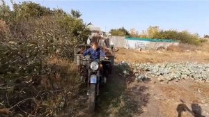 МТ 10 Днепр трицикл грузовой и Димон