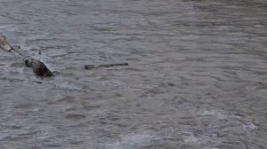 Hochwasser in Wasserburg