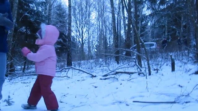 Зимний лес или Где снежинки? Winter wood or Where are the snowflakes? смотреть онлайн