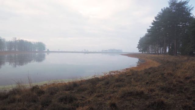 Рысь заставила рыдать мальчика, положив ему в руки то, что он потерял смотреть онлайн