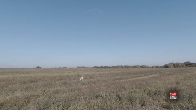 ОХОТА НА ПЕРЕПЕЛА?Fabarm XLR Columba Palumbus?ПАТРОН 24 ГР?Раструб Gemini FLUSH?МЕКСИКАНСКИЙ УЖИН смотреть онлайн