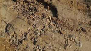 КАСИМОВ. ПРОГУЛКА ПО БЕРЕГУ ОКИ, ПОИСК ОКАМЕНЕЛОСТЕЙ.