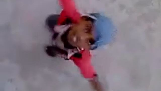 Sam anderson reel sam anderson die hard fan смотреть онлайн