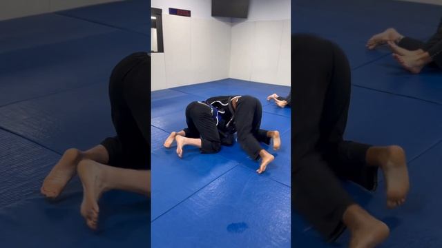 BJJ Sparring