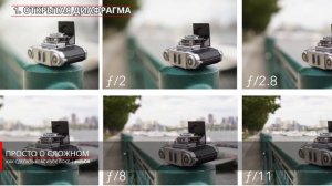 ? Как сделать фон размытым на фотоаппарате