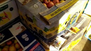 СКОЛЬКО МОЖНО ЗАРАБОТАТЬ НА ЯБЛОКАХ В САДУ? РАБОТА В РОССИИ 2021 ГОД