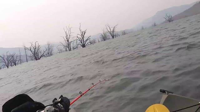 catfish on jonny bass 100 смотреть онлайн