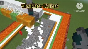 Vindicator IQ Test | Mr.minecrafter