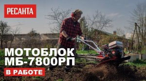 Мотоблок Ресанта МБ-7800РП в работе