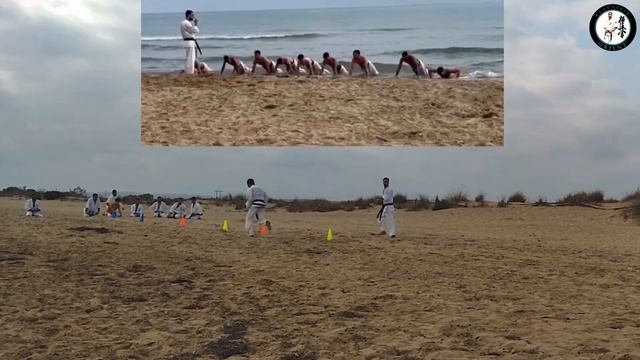 Training Session in Kyokushin смотреть онлайн