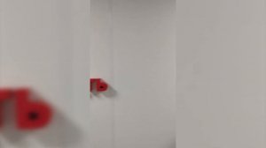 Экскурсия по складам БДЧ / Домодедово | ВсеИнструменты.ру