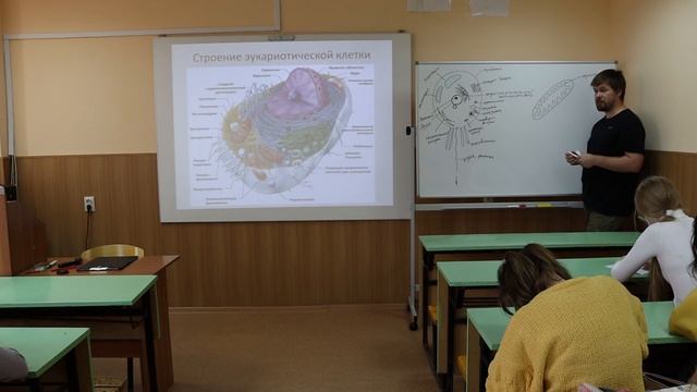 Зоология беспозвоночных 2 Эукариоты. Начало