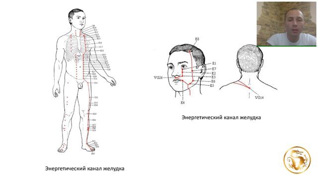 желудка меридиан перекос лица особенности говорит профессор Александр брокер смотреть онлайн