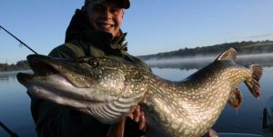 020,Рыбалка 13.mp4