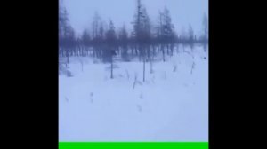 Охота на медведя Часть - 3 САМЫЕ ЖЕСТОКИЕ моменты подборка . Bear Hunt the MOST BRUTAL moments