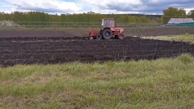 Механизированная посадка картофеля