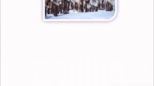 Животные Республики Коми,занесённые в красную книгу