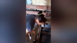 Уборка в сарае + Канализация для КРС