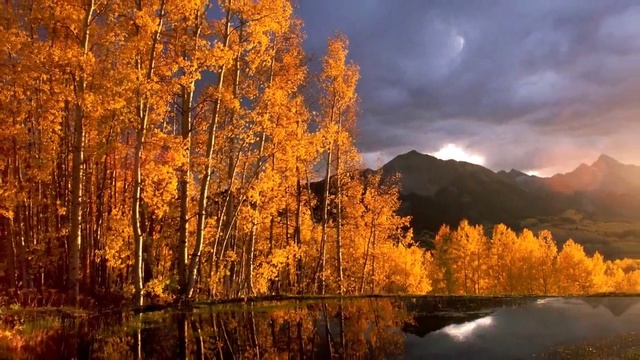 ОБНАЖИЛА БЕЛЫ ПЛЕЧИ смотреть онлайн