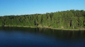 Белое озеро! Прозрачная вода, сосновый лес и санаторий. Шатурский район, 150 км от Москвы.