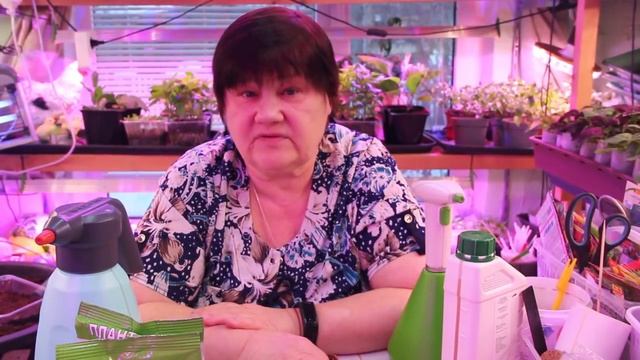 Грибы выращиваем в банке. Результаты. И снова про триходерму.