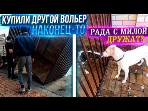 Купили вольер и будку в другом месте, НАКОНЕЦ-ТО. Мила и Рада.