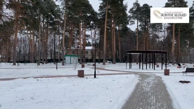 Сосенки парк в городе Александрове, Владимирская область #парк #природа #александров #видеообзор