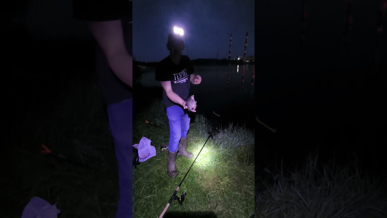 Рыбалка на фидер Ловля леща ночью #shortvideo #fishing #рыбалка #fishingvideo #лещнафидер #fish