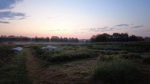 Отьезд в город,из пекла в пекло.Раннее утро в деревне.