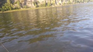Таймень в Междуреченске 31 Августа