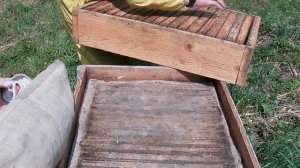 Пасека в лесу.29 июня 2021 года. Ставим вторые магазины пчелы все заливают медом.Начался медосбор.