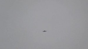 Голуби и ястреб, кто кого?