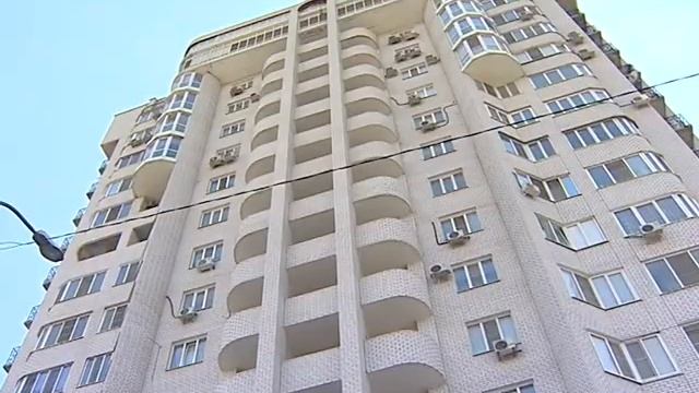В Волгограде домашний кот выжил, выпав с 8 этажа