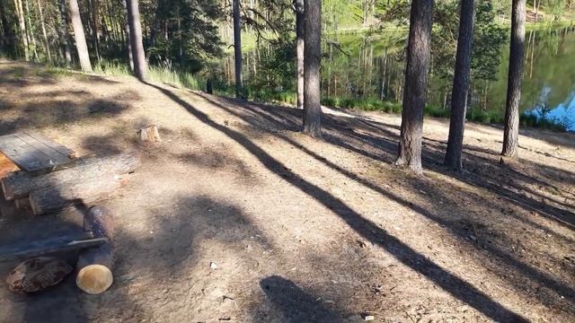 Радоновое озеро, Себежский район. #Pskov region смотреть онлайн